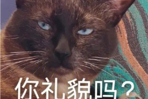 成都草莓音樂節一男子對警察豎中指 豎中指的含義是什么意思