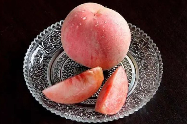 毛桃是什么季節的 毛桃是哪里的特產